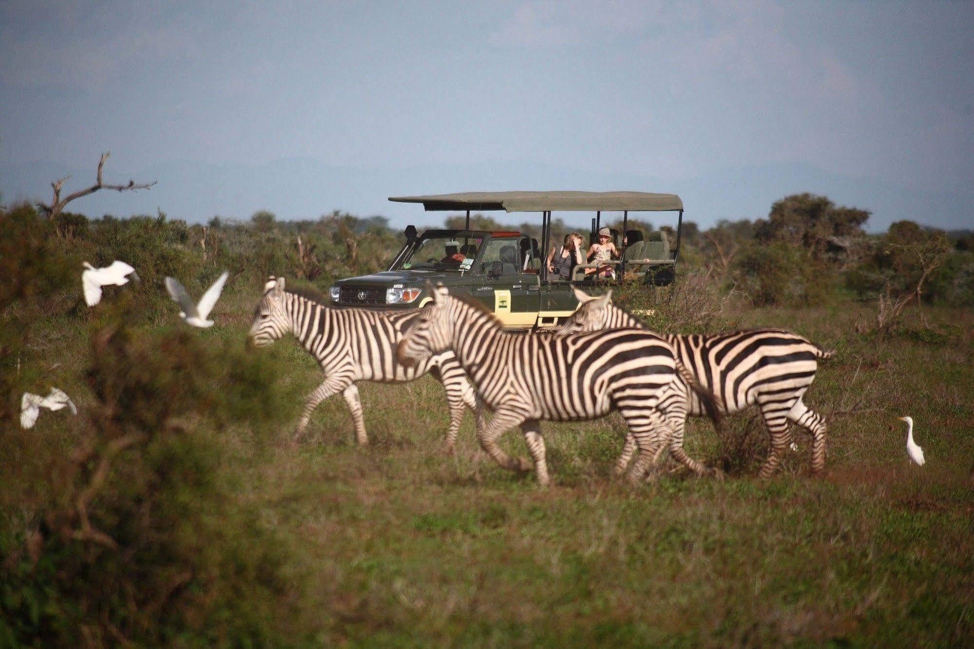 Elewana Tortilis Camp Hotel Amboseli Bagian luar foto